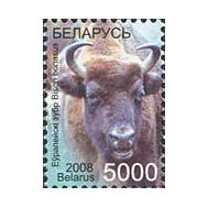  2008. Беларусь.749. Стандарт. Фауна. Зубр. 1 Марка., фото 1 