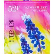  2018. ЛНР. 125А. Гадючий лук, фото 1 