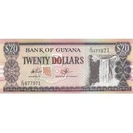  20 долларов 2009 Гайана Пресс, фото 1 