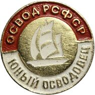  Значок «ОСВОД РСФСР. Юный Осводовец» СССР, фото 1 