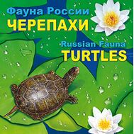  2017. 814. Сувенирный набор в художественной обложке «Фауна России. Черепахи», фото 1 