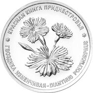  1 рубль 2025 «Гвоздика изменчивая. Красная книга. Флора» Приднестровье, фото 1 
