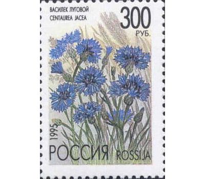  5 почтовых марок «Полевые цветы России» 1995, фото 4 