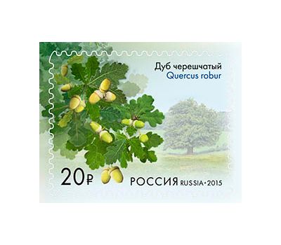  Сцепка «Флора России. Всероссийская эколого-патриотическая акция «Аллеи России» 2015, фото 5 