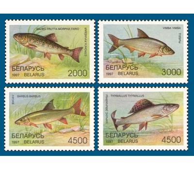  Почтовые марки «Фауна. Рыбы» Беларусь, 1997, фото 1 