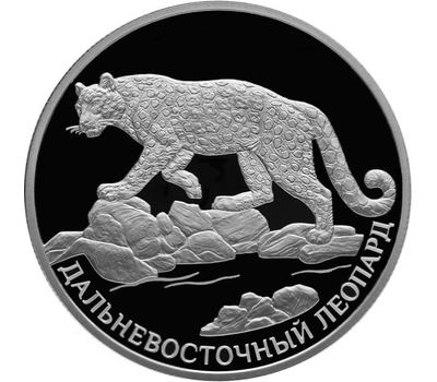  Серебряная монета 2 рубля 2019 «Красная книга: дальневосточный леопард», фото 1 