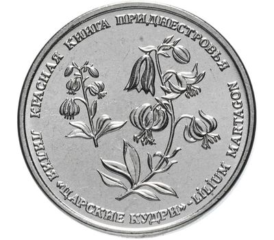  Монета 1 рубль 2019 «Красная книга — лилия Царские кудри» Приднестровье, фото 1 