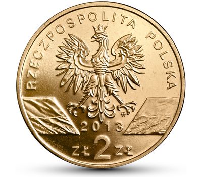  Монета 2 злотых 2013 «Зубр (Bison bonasus)» Польша, фото 2 