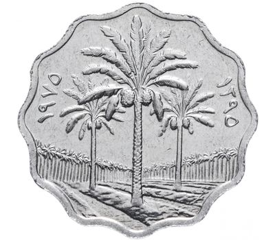  Монета 5 филсов 1975 Ирак, фото 1 