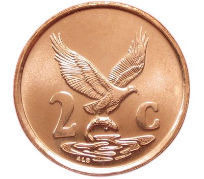  Монета 2 цента 2001 ЮАР, фото 1 