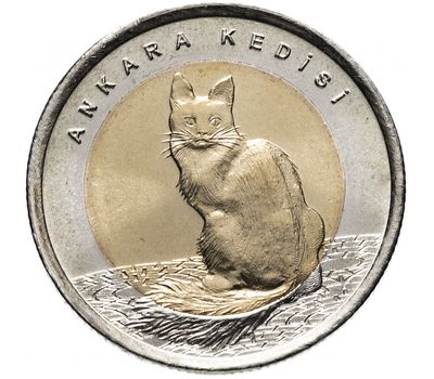  Монета 1 лира 2015 «Ангорская кошка (Красная книга)» Турция, фото 1 