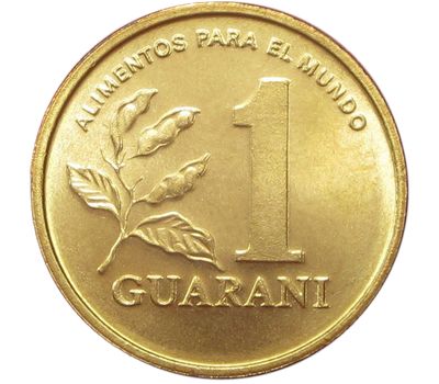  Монета 1 гуарани 1993 Парагвай, фото 1 