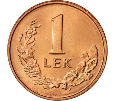  Монета 1 лек 1996 Албания, фото 2 