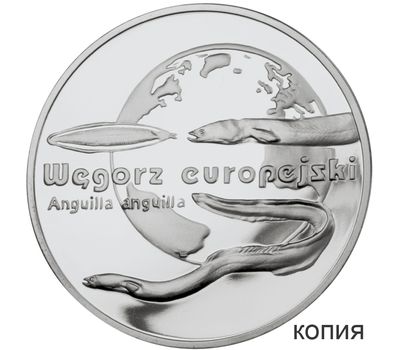  Монета 20 злотых 2003 «Угорь» Польша (копия), фото 1 