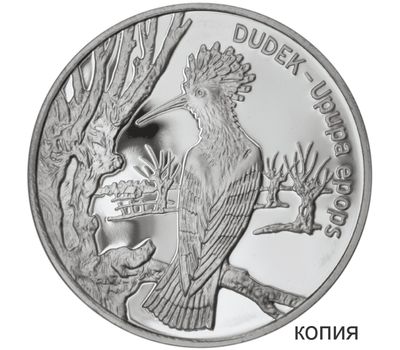  Монета 20 злотых 2000 «Удод» Польша (копия), фото 1 