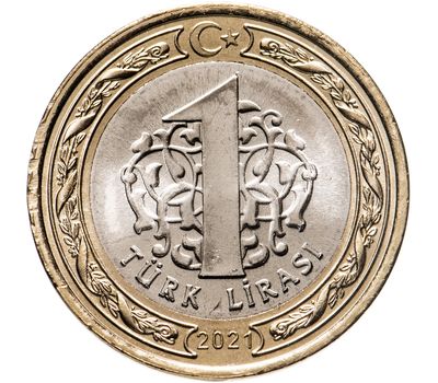  Монета 1 лира 2021 «100-летие присвоение титула «гази» (победитель) городу Газиантеп» Турция, фото 2 
