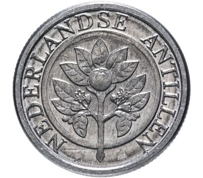 Монета 1 цент 1993 «Апельсиновое дерево» Нидерландские Антиллы, фото 1 