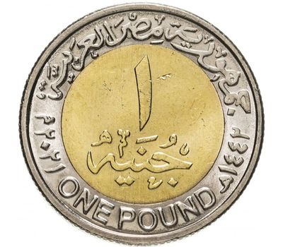 Монета 1 фунт 2021 «Золотой парад Фараонов» Египет, фото 2 