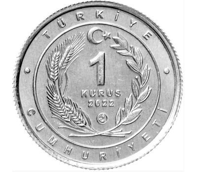  Монета 1 куруш 2022 «Лев» Турция, фото 2 
