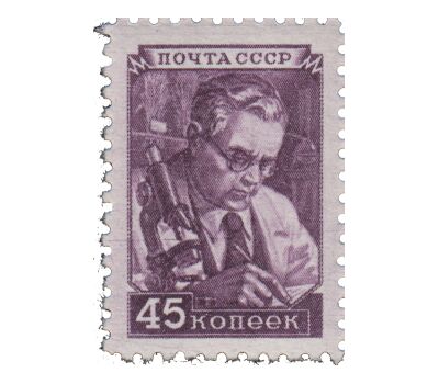  8 почтовых марок «Стандартный выпуск» СССР 1948, фото 6 