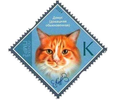  Почтовая марка «Породы кошек. Домус» Приднестровье 2024, фото 1 