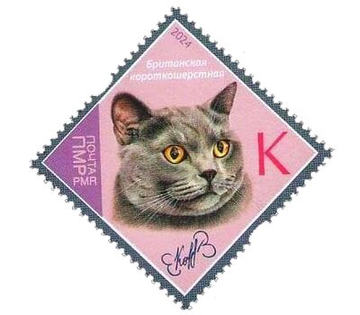  Почтовая марка «Породы кошек. Британская короткошерстная» Приднестровье 2024, фото 1 