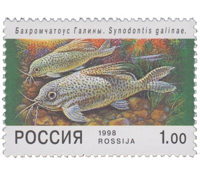  5 почтовых марок «Фауна. Аквариумные рыбы» 1998, фото 2 