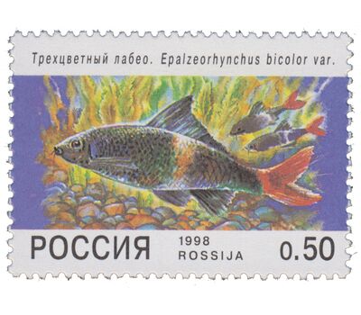  5 почтовых марок «Фауна. Аквариумные рыбы» 1998, фото 4 