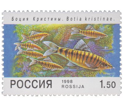 5 почтовых марок «Фауна. Аквариумные рыбы» 1998, фото 6 