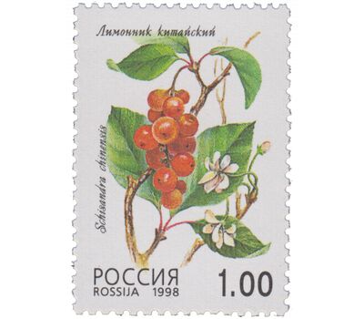  5 почтовых марок «Флора. Лесные ягоды» 1998, фото 2 