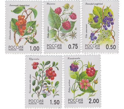  5 почтовых марок «Флора. Лесные ягоды» 1998, фото 1 