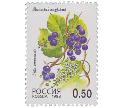  5 почтовых марок «Флора. Лесные ягоды» 1998, фото 4 