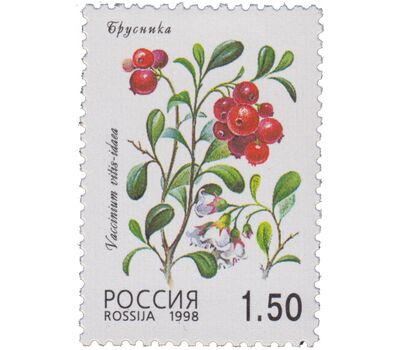  5 почтовых марок «Флора. Лесные ягоды» 1998, фото 5 