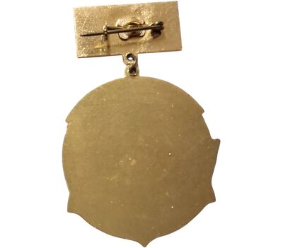  Значок «Крейсер «Красный Крым» СССР, фото 2 