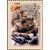  5 почтовых марок «60-летие Победы в Великой Отечественной войне 1941-1945 гг» 2005, фото 4 