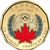  Монета 1 доллар 2020 «75 лет ООН» Канада (цветная), фото 1 